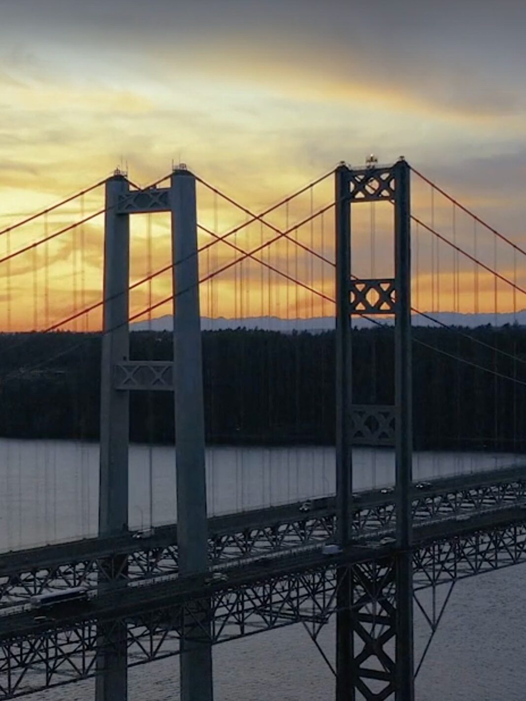 Tacoma Narrows Bridge: The Fascinating Story Of An Iconic Landmark ...